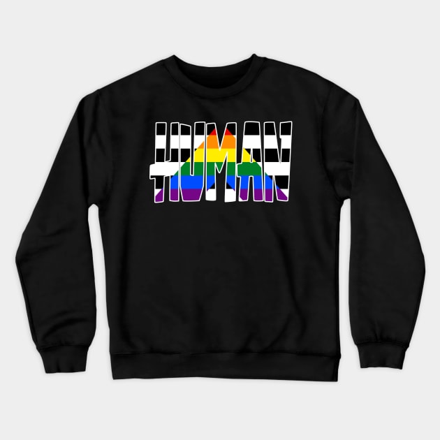 Human Ally Flag Crewneck Sweatshirt by Fig-Mon Designs